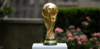 FIFA World Cup 2022 Being Underway, Fans Have Picked Up Their Favorite Teams Once Again