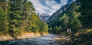 Get the Amazing Benefits of Workation from These Incredible Destinations in India