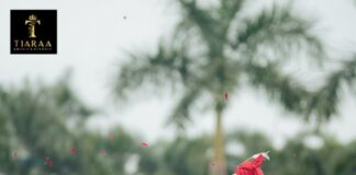 Tiaraa Hotels and Resorts: Redefining Celebrity Destination Weddings in Jim Corbett