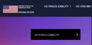 Fulfill the American Dream with US Online Visa Services