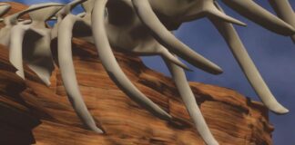 PitPat Launches Winter Season Warm-Up Challenge-Run, Conquering the Cold with Virtual Competition