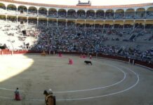 Madrid Bullfighting Announces the Thrilling Return of Corridas de Toros to the Iconic Plaza de Las Ventas