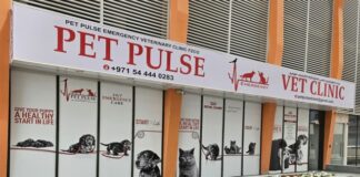 Pet Pulse Emergency Veterinary Clinic: Leading the Way in Dubai’s Veterinary Services