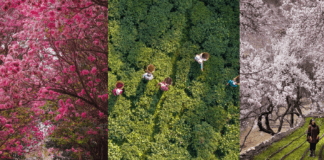 30 Best Locations in India to Visit This Spring