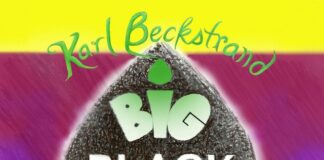 Big Black Seed: A New Wordless Gardening Kids’ Book