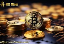 A new trend in the crypto market! NR7 Miner cloud mining allows ordinary people to easily earn passive income