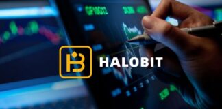HALOBIT: Building a New Generation Global Digital Asset Ecosystem Platform