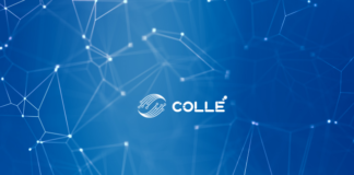 Imagen Network Refines Feed Curation Systems for Smarter Social Discovery