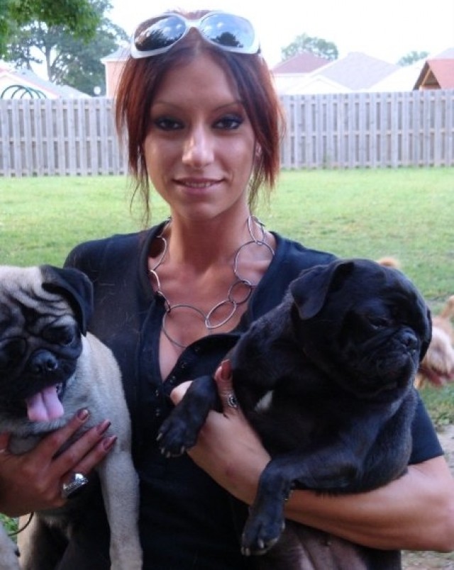 rss_dawn-and-2-dogs-blog647761031