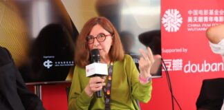 Exploring the Internationalization of Chinese Cinema: Opportunities and Challenges