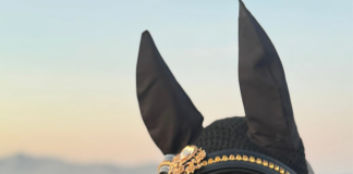 Equestroom Launches Ultra Bling Horse Browbands for Riders Who Love to Shine
