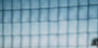 Protecting Families, Defending Rights: Walter Shaw Stands Out in San Bernardino CPS Defense