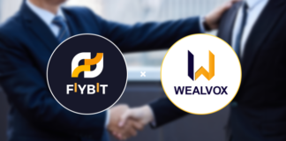 Fiybit and Wealvox Announce Comprehensive Strategic Partnership