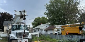 Tree Sixty Tree Service Establishes Itself as Premier Tree Care Provider in La Crosse – Monroe Counties, WI