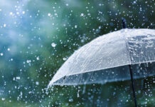 How to Stay Healthy During Monsoon?