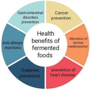 What Are the Advantages of Fermented Food Items? 