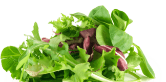 Salad greens