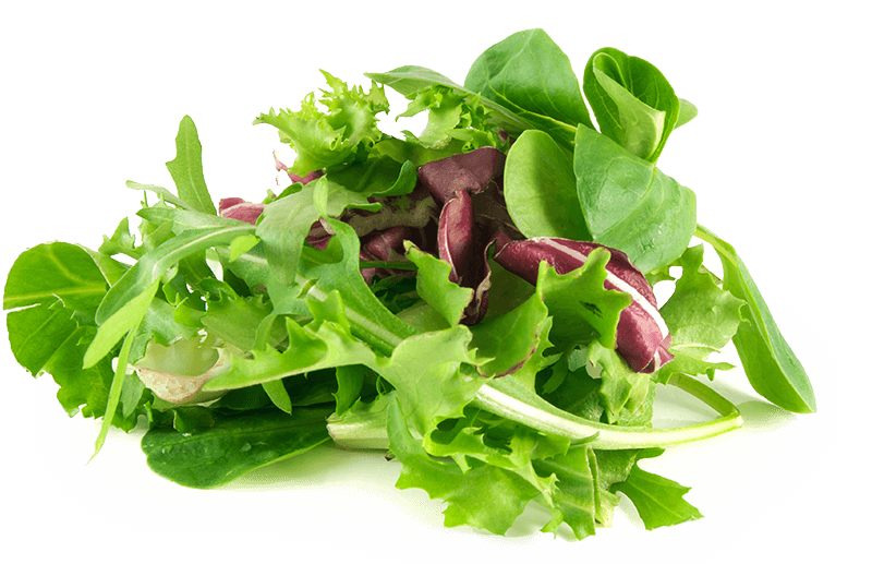 Salad greens