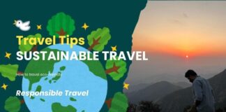 Sustainable Travel Tips