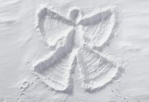 Explore Some Fun Winter Activities to Enjoy It More