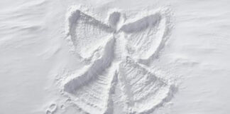 Explore Some Fun Winter Activities to Enjoy It More Explore Some Fun Winter Activities to Enjoy It More
