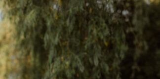 Anna Beresford Wins Inner Light Writing Scholarship – Donates Entire $10,000 Prize to Charity