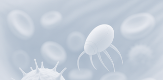 F6S Recognizes Elixira as #1 in ‘9 top Nanotechnology companies and startups in Sweden in October 2025’