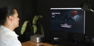 VistaDigital.com Launches Comprehensive WordPress Web Design Services to Empower Businesses and Professionals