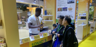 Eighth CIIE sees 80% more African exhibitors from a year ago