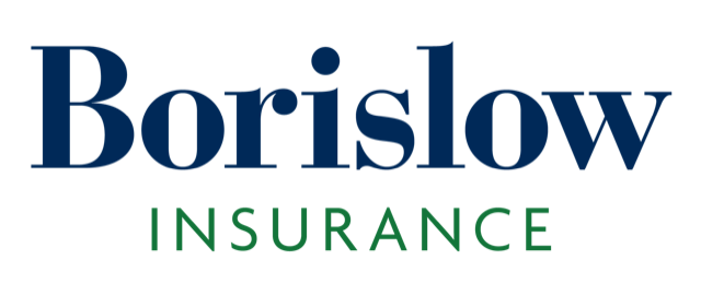 rss_borislow-logo945510268