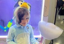 2025 Vending Forecast: Chuanbo’s AI-Powered Cotton Candy Machines Drive 30% Growth in Entertainment Retail