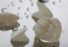 Grand Prairie Family Dental Offers Free Cleanings and Exams for Veterans This November