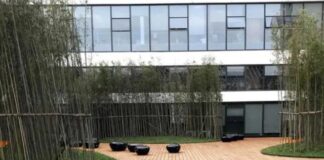 Waterproof Your Outdoors: OEM Bamboo Decking Flooring from China for All-Weather Durability