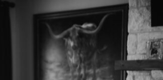 Stewart Lawrence Skloss Inducted Into SAR: A Legacy From Kings, Conquerors, Canary Islanders – American Patriots