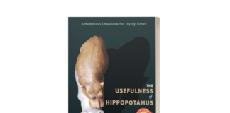 Hippopotamus: A Humorous Chapbook Bringing Laughter – Light to the 2025 NCTE Conference.