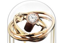 Watcheswinder Provides the Best Sanctuary for Timeless Pieces