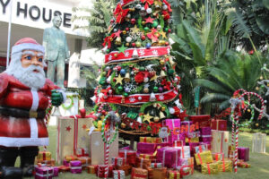 18 Great Places in India for Christmas Celebrations