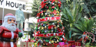 18 Great Places in India for Christmas Celebrations