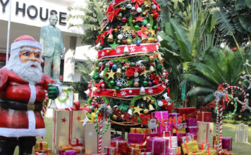 18 Great Places in India for Christmas Celebrations