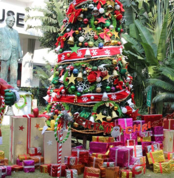 18 Great Places in India for Christmas Celebrations