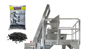 High-Speed Multi-Function Bag Packing Machines – The Future of Fast and Efficient Packaging