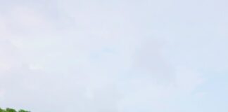 Abhishek Shukla: The Young Entrepreneur Transforming India’s Textile Supply Chain