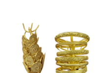 Innovation at the Core: Hasung Sets Benchmark as High Quality Jewelry Vacuum Pressure Casting Machine Supplier