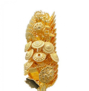 Hasung: China Leading Automatic Casting Machine For Jewellery Exporter Unlocks Next-Level Precision Casting