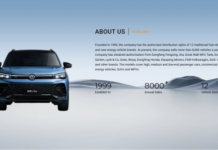 WORLINK: Navigating the New Era of Mobility as a China Top Ev Car Service