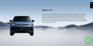 WORLINK: Navigating the New Era of Mobility as a China Top Ev Car Service