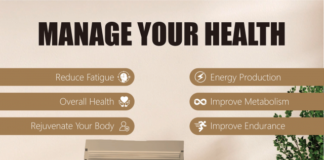 Complete Buyer’s Guide to Shilajit Resin: Choosing the Rainwood Quality