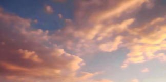 China OEM Expandable Living House Factory Supporting Large-Scale Projects by Liansheng