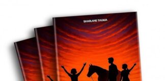 What Happens When Your Phone, Car and Power Grid Stop Forever? Sharlane Thuma’s New Release, Haven The Series, Answers