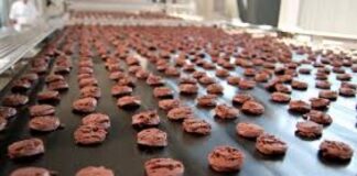 Leading Manufacturer LST: Innovative Chocolate Machine Lines for Versatile Confectionery